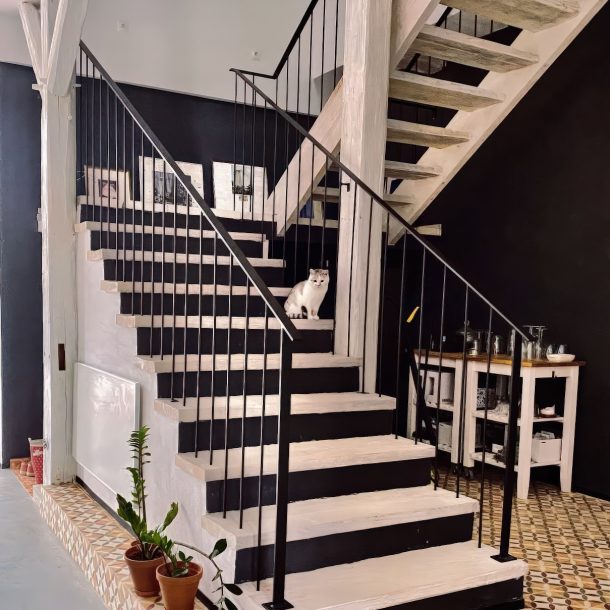 Drewniane schody w domu gościnnym dla dorosłych Rajskie Jabłka w Pławnej Górnej na Dolnym Śląsku, na stopniu siedzi kotka Lilu.